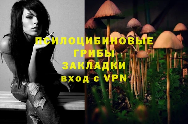 Альфа ПВП Алексин