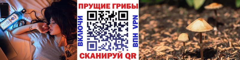 Галлюциногенные грибы ЛСД  сколько стоит  Харовск 